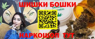 индика Обь