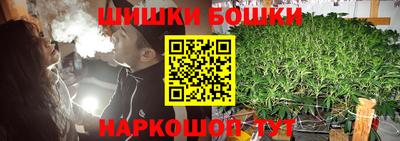 индика Обь