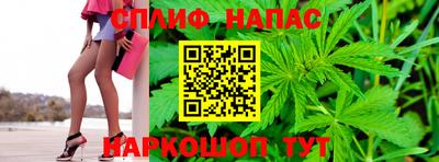 гашик Нягань