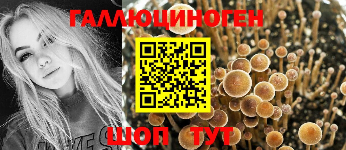 Мытищи  Галлюциногенные грибы MAGIC MUSHROOMS  Вход с VPN 